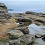 Nanoose - Madrona Point