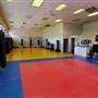 LaRoche World Gung Fu & Kickboxing