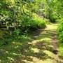 Aspengrove School Trails
