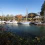 Courtenay River Government Dock