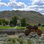 Bradner  - Black Canyon Ranch ALL - Buildings & Crop Fields  SPRING