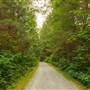 Stanley Park - Tunnel Trail