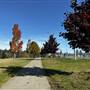 Willow Point Park