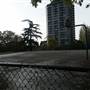 South Park Basketball Court