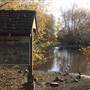 Kings Pond