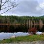 Trout Lake