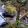 Homesite Creek Falls Recreation Site