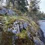 Shawnigan Lake Cabins