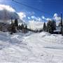Blue River Residential Streets, Businesses & Services WINTER