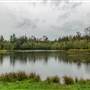 Green Timbers Park