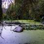 Glenbrook Ravine Park