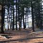 Tatlayoko Lake Northeast Recreation Site