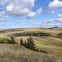 *Kullagh Road Grasslands - Newman Dam Valley 01 Top Plateau NE - FALL