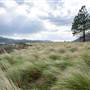 Dueck Property - Grassy Plateau and Hike to Cliffs