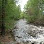 ELLIS CREEK GREENWAY