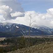 Columbia River Flats