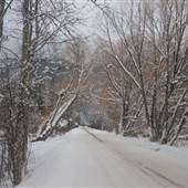 Blaeberry Valley Winter 2013