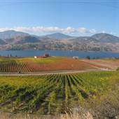 BLASTED CHURCH WINERY/VINEYARDS