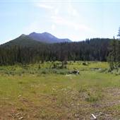 11 Mile Creek Valley at Camel Mountain