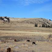 Stump Lake Grasslands Valley - West Side