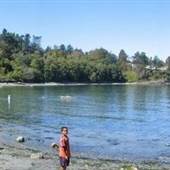 Arbutus Cove