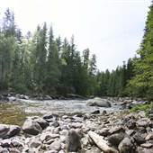 Raft River plus Waterfalls and surrounding Forests (access to both sides)