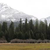 *Buttle Lake (Strathcona Provincial Park)