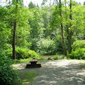 Quinsam Campsite