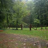 Sayward Cemetery