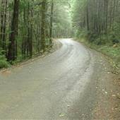 Horne Lake Forest Service Road