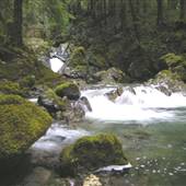 Nahmint Lake Campground