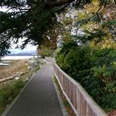 Comox Waterfront