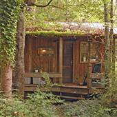 Seaview Road Woodsy Cabin