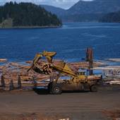 Menzies Bay Log Sort
