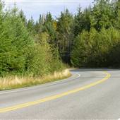Quadra Roads