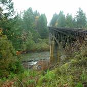 E&N Railway (Englishman River Railway Bridge)