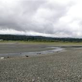 Qualicum National Wildlife Area - Nanoose Bay Unit (Rowland Road Beach)