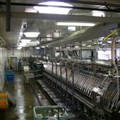 Walcan Seafood Ltd