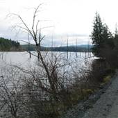 Greenstone Creek Main