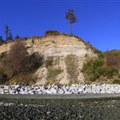 Comox Beach Bluffs