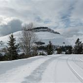 HEDLEY NICKEL PLATE ROAD ( Winter )