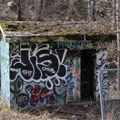 Mines Road Trail