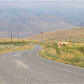 Tunkwa Lake Road - Savona to Tunkwa Lake Provincial Park