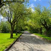Jericho Garrison - Exterior Grounds