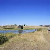 Kullagh Road Grasslands - Newman Dam & Log Barn 03 SUMMER