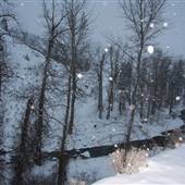 Deadman River WINTER