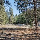 BENNETT PROPERTY SCOTTY CRK RD