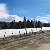 Knouff Lake Road at 10 km and at Wilson Road - Winter