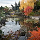 KELOWNA JAPANESE GARDENS