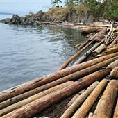 Nanoose - Dorcas Point
